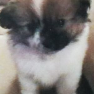 Meet your Posher, Kristin